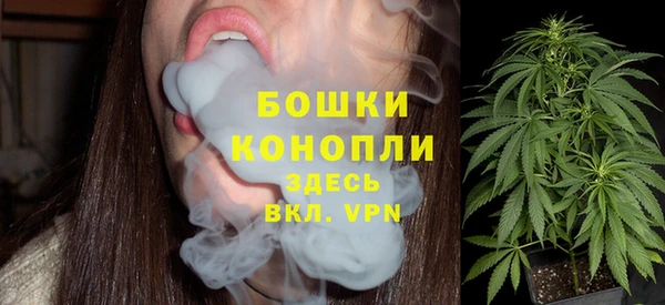 альфа пвп Медвежьегорск