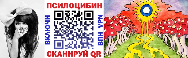 omg как зайти  маркетплейс какой сайт  Галлюциногенные грибы MAGIC MUSHROOMS  купить закладку  Нижний Тагил 