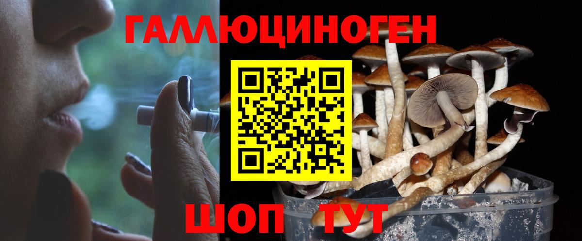 Галлюциногенные грибы Magic Shrooms Нижний Тагил
