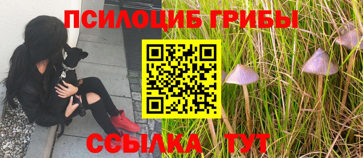 Псилоцибиновые грибы ЛСД  Вход с VPN  Нижний Тагил 